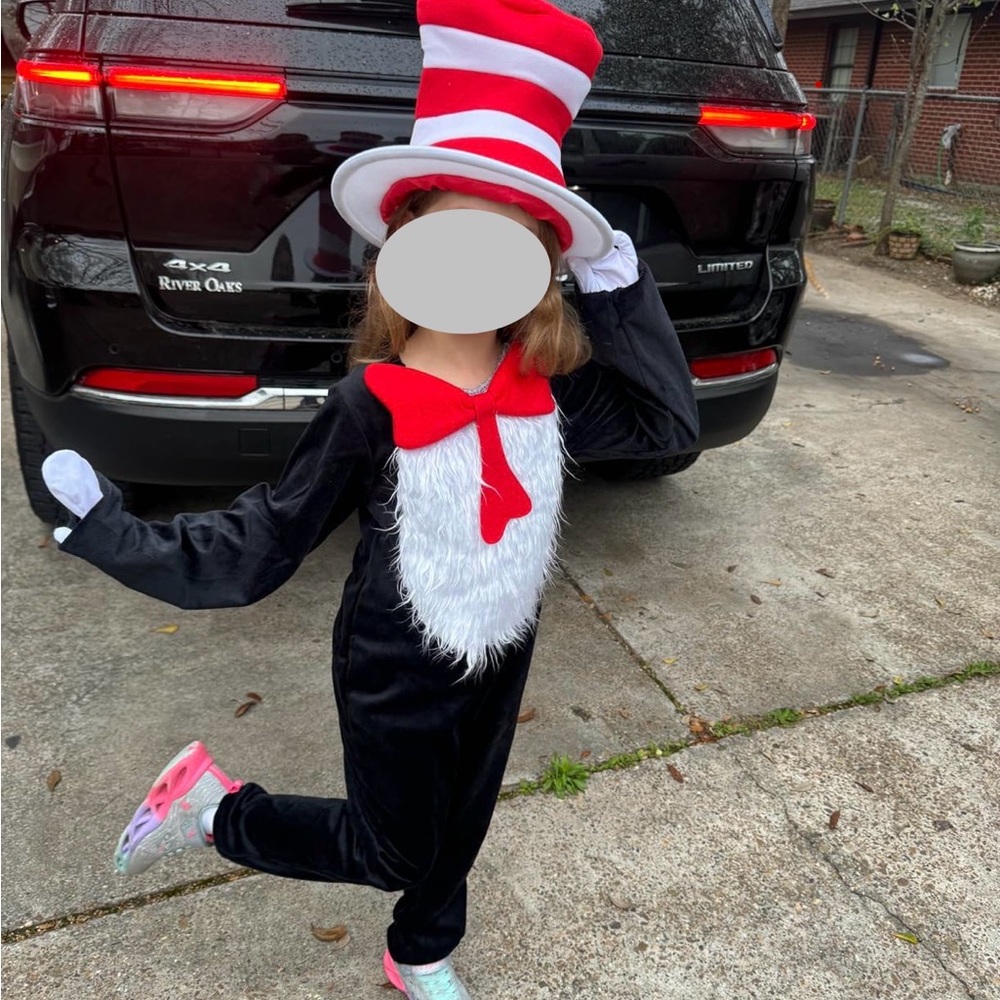 Classic Cat in the Hat Kids Costume - Red, White & Black
